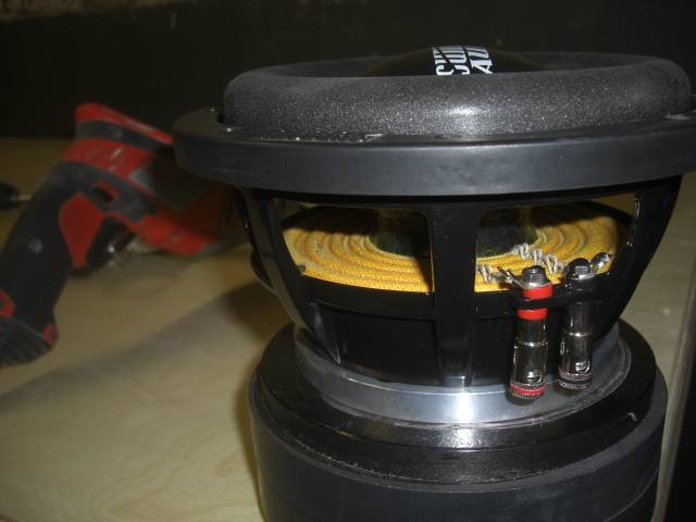 CIMG6786.JPG