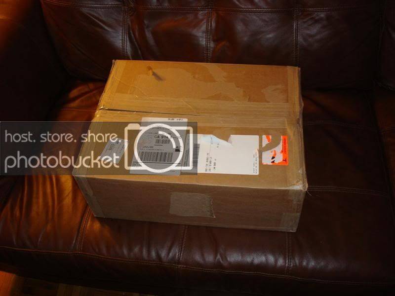 DSC01249Medium.jpg