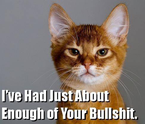 attacking_troll_trollcat.jpg