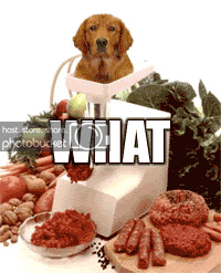 dogdance.gif
