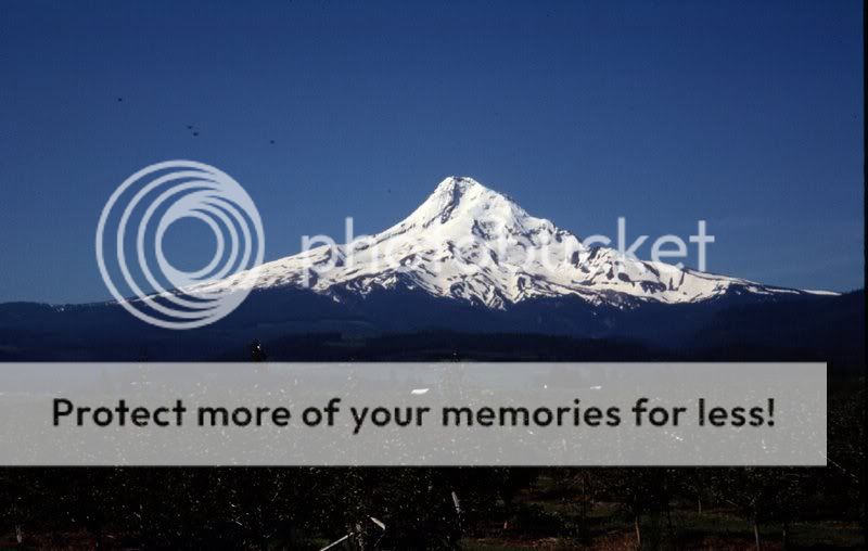 mthood.jpg