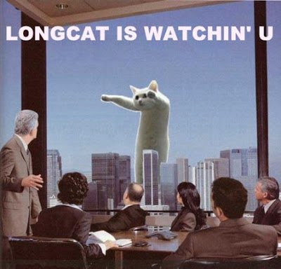 long_cat_012.jpg