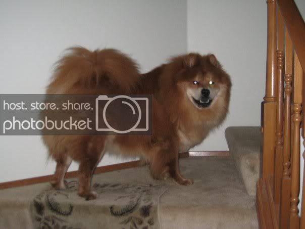 chubacc.jpg