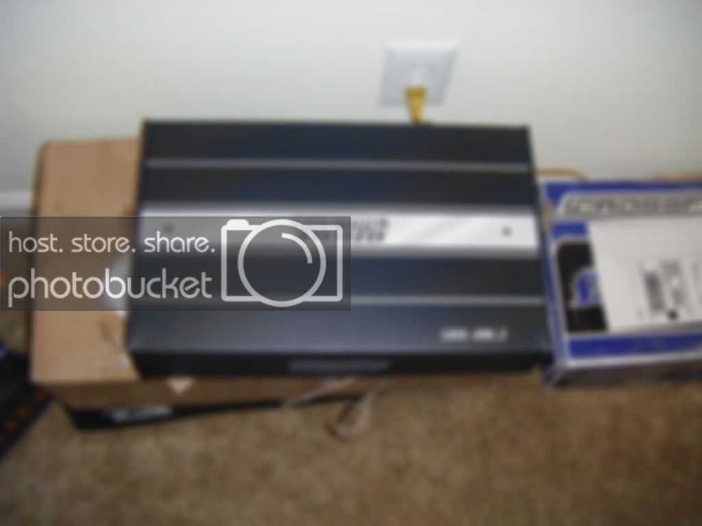 newpics005.jpg