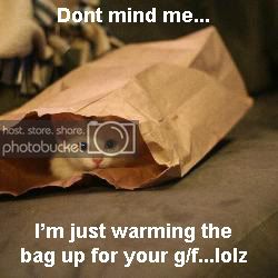 bagcat1.jpg