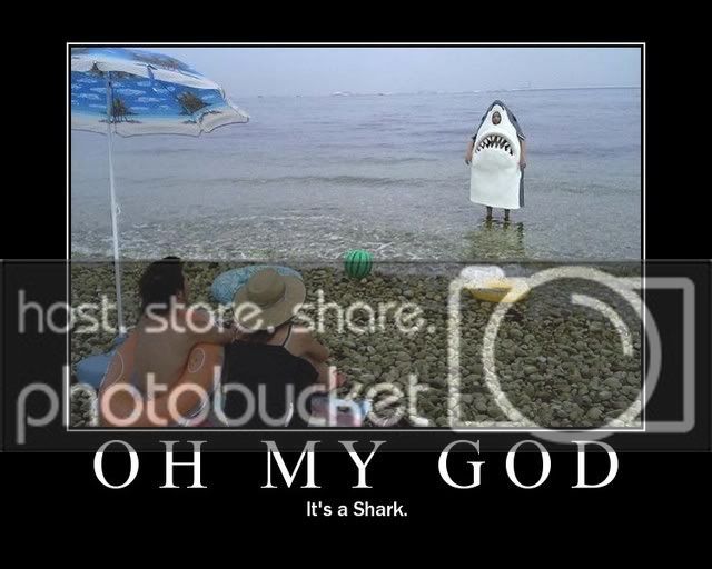 OMGshark.jpg