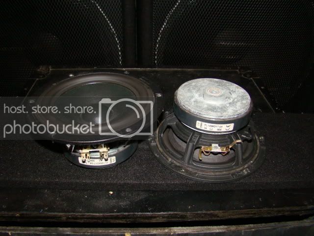 DSC01901.jpg