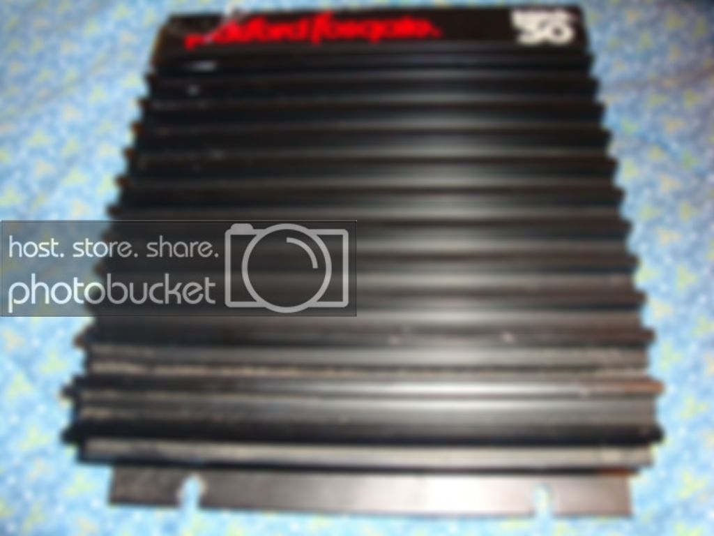 DSC03538.jpg