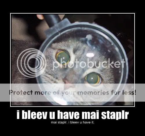 i-bleev-u-have-mai-staplr-mai-stapl.jpg