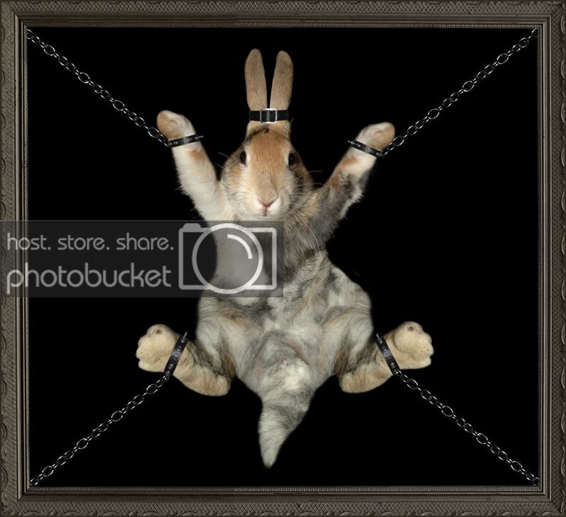 BondageBunny1.jpg