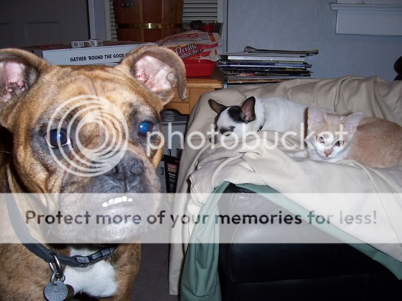 100_0510.jpg