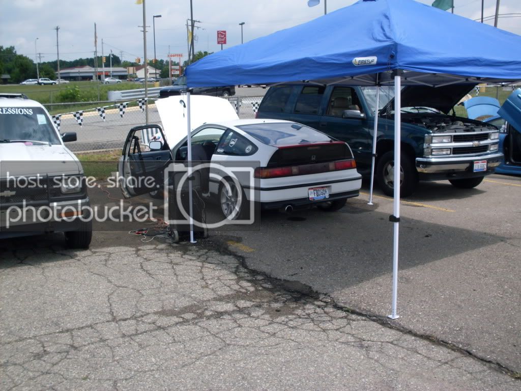 SDC10425.jpg