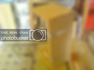 12291356b.jpg