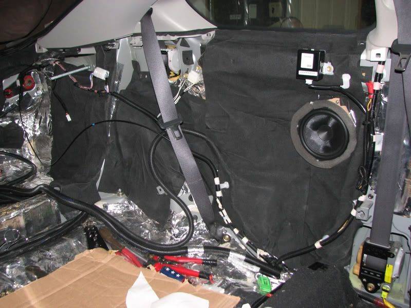 SciontC_rearcavity013.jpg