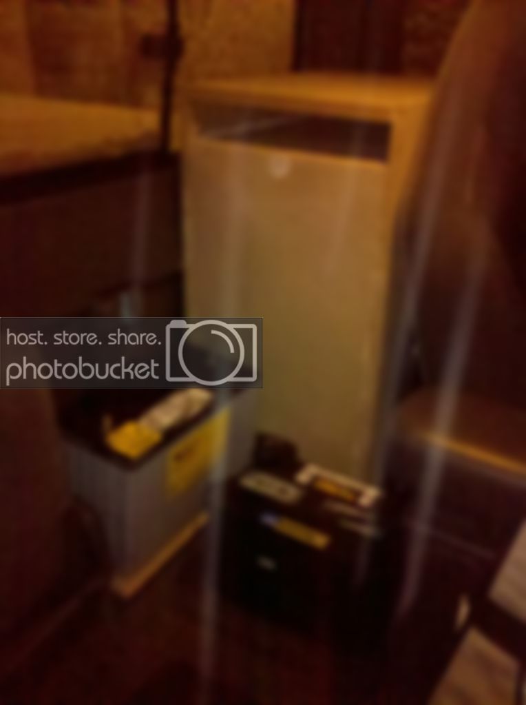 IMG_20110111_191659.jpg