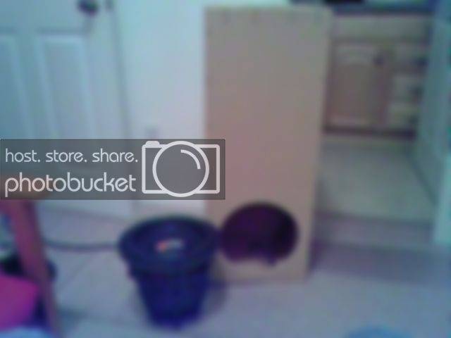 120807_2036.jpg