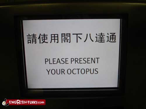 octopus1.jpg