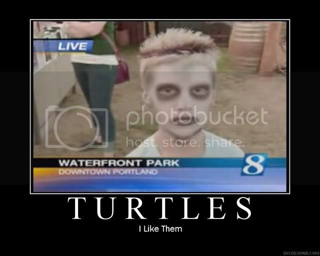 turtles.jpg