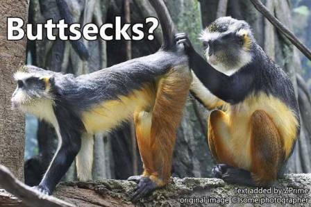Buttsecks.jpg