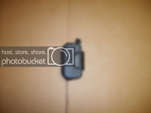 SD530759.jpg