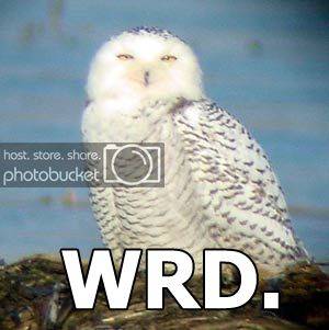 werdd.jpg