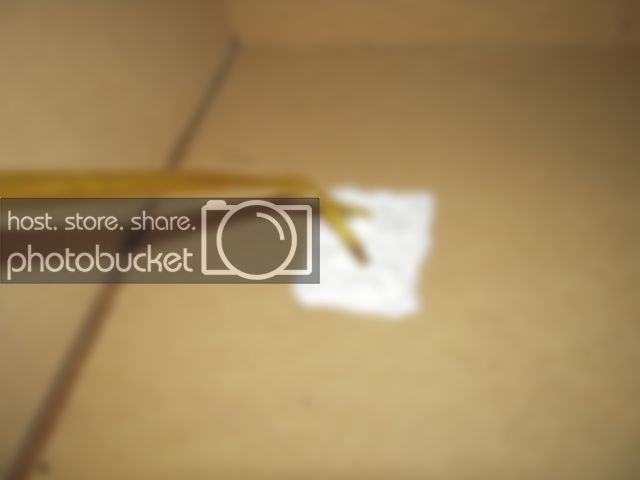 DSCN0617.jpg