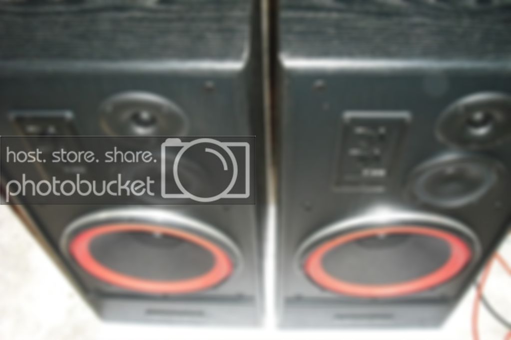 Picture135.jpg