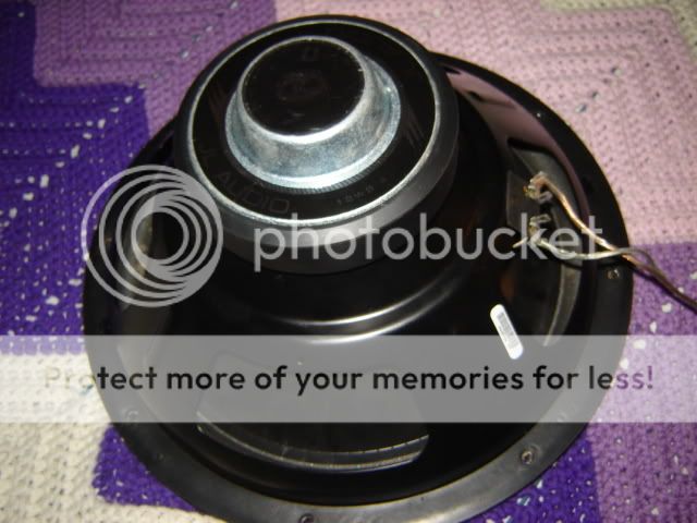 DSC08115.jpg