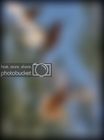 ee695d645dfe8fa8.jpg