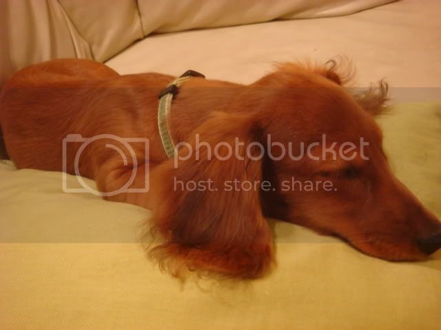 DSC04404.jpg