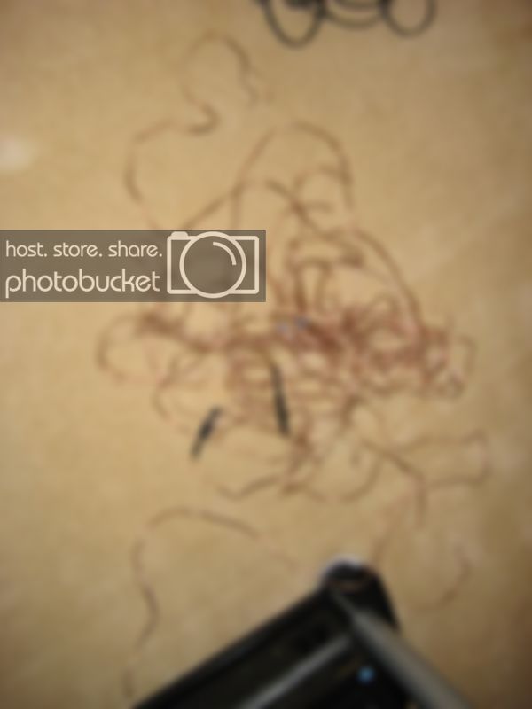 008.jpg