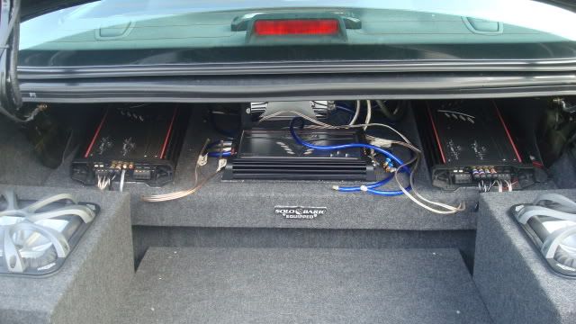Trunk2.jpg