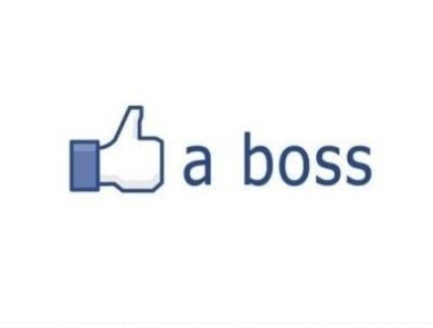 Like-a-boss_large.jpg