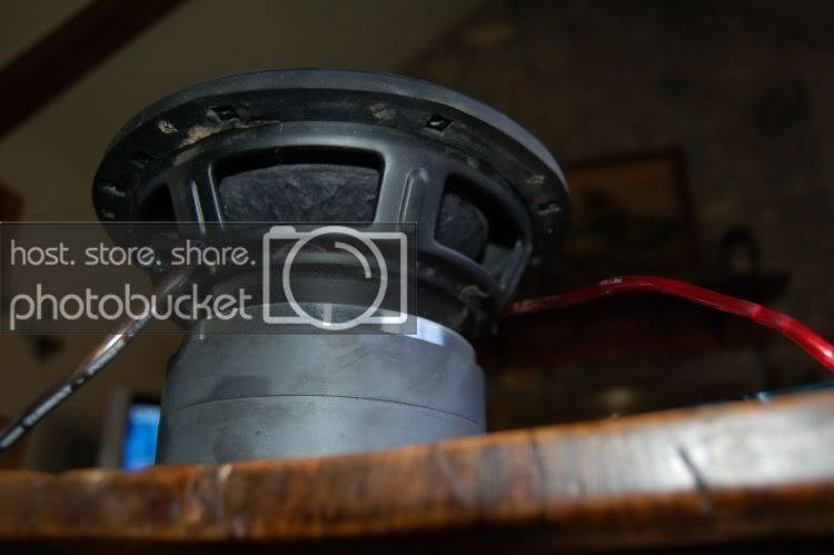 DD150815.jpg