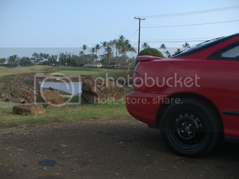 IMGP1308.jpg