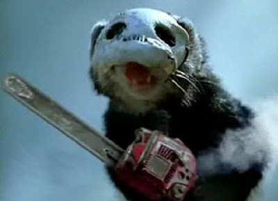 ferret01.jpg