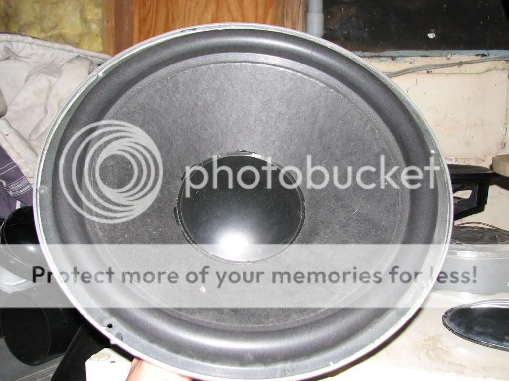 jenspics095.jpg