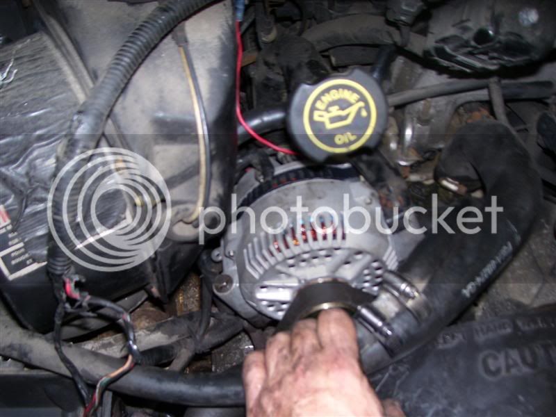 100_0598Medium.jpg