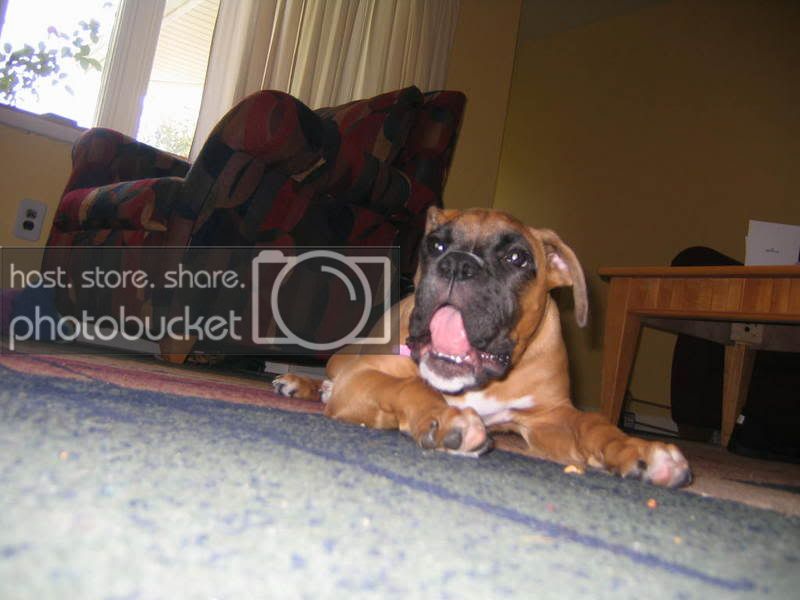 BELLA016.jpg