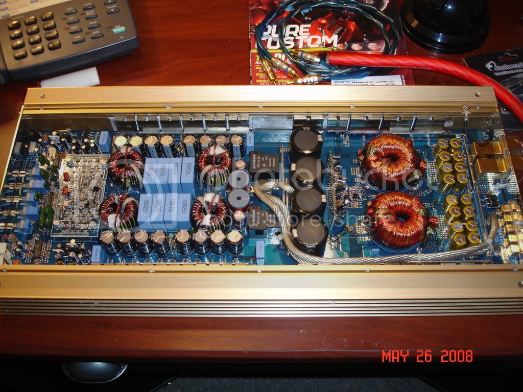 ampgutsvfl005.jpg