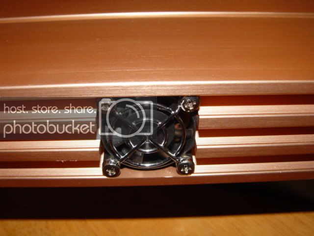 DSC08472.jpg