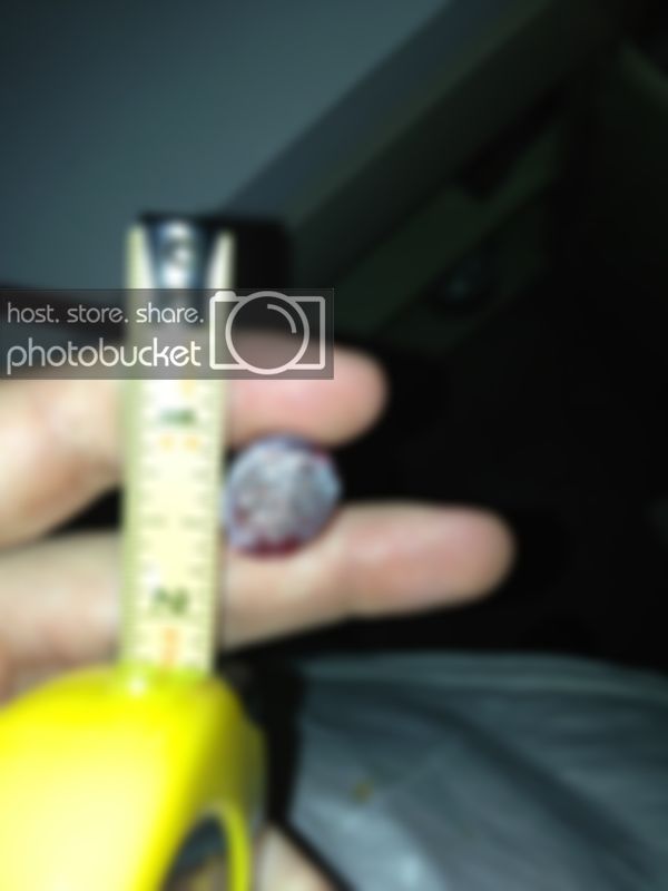 IMG_2890_zps12f02572.jpg