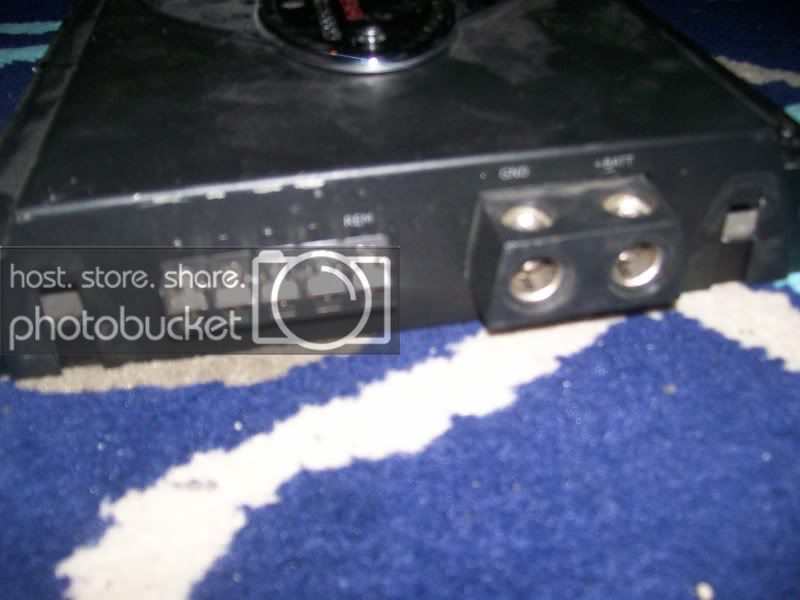 Picture007.jpg