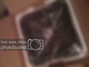 9eb0d4a9.jpg