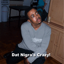 CRAZY_NIGRA_.gif