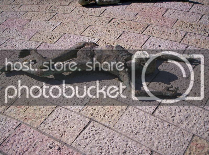 mypics151.jpg