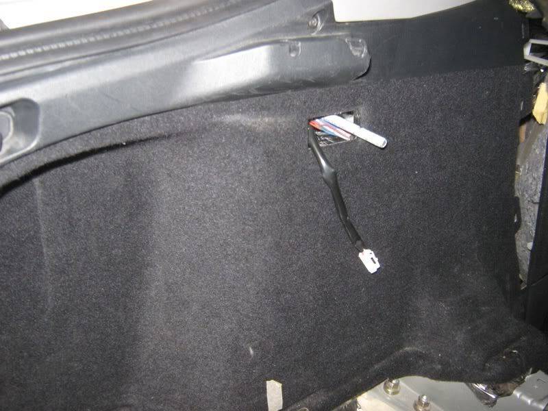 trunk017.jpg