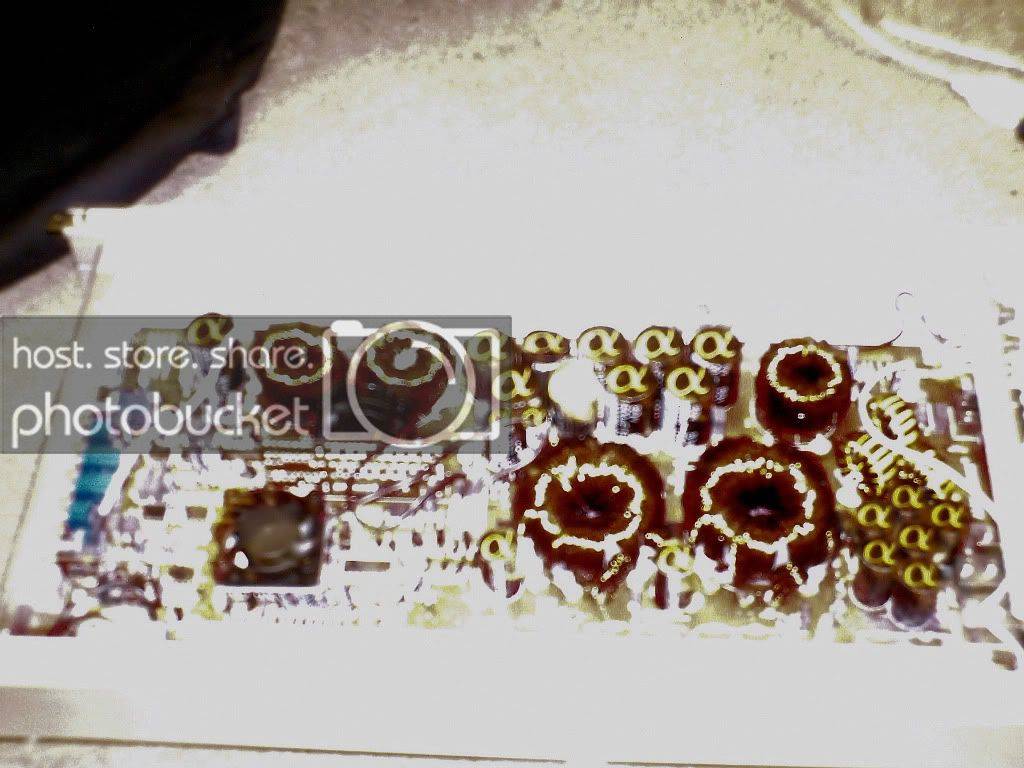 SUNP02922.jpg