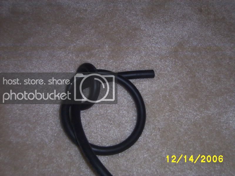 Picture438.jpg