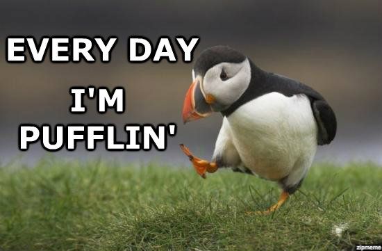 every-day-im-pufflin.jpg
